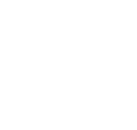 Seattle Transfemnists Logo