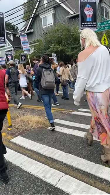 A marching crowd holding pickets during the 2025 Trans Solidarity March.